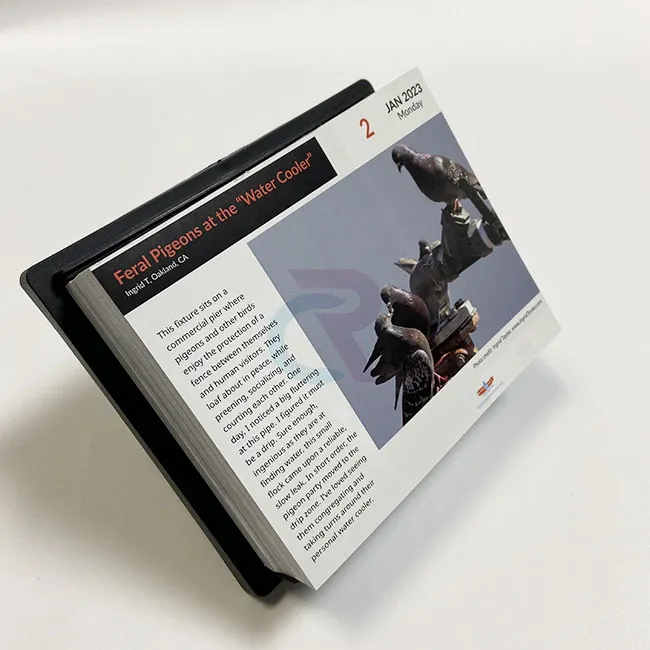 కస్టమ్ డిజైన్‌లను టియర్-ఆఫ్ పేజీ-ఎ-డే క్యాలెండర్‌లలో ఎలా చేర్చవచ్చు?